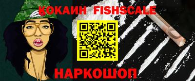 гидра Камышлов