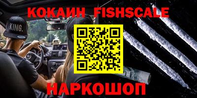 гидра Камышлов