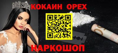 гидра Камышлов