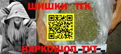 гидра Камышлов