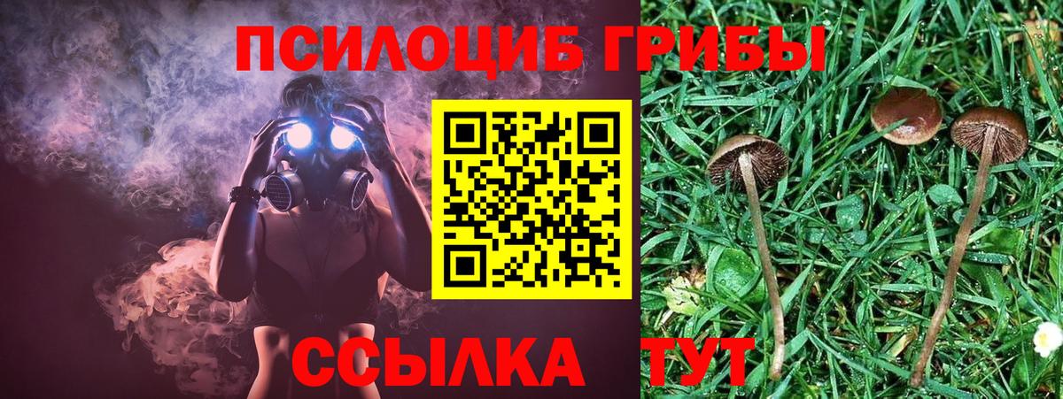 Луховицы  Псилоцибиновые грибы мухоморы  наркота  Вход с VPN 
